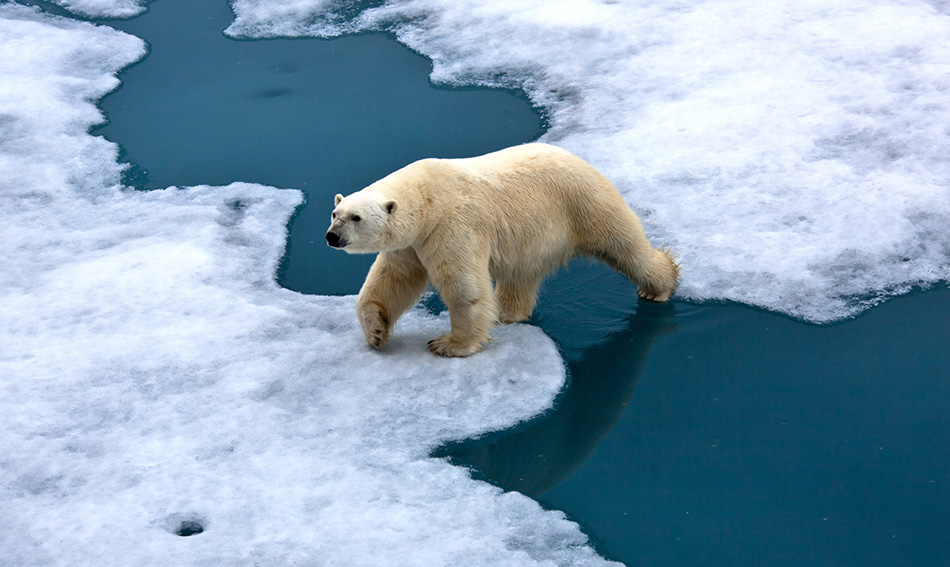 climate change